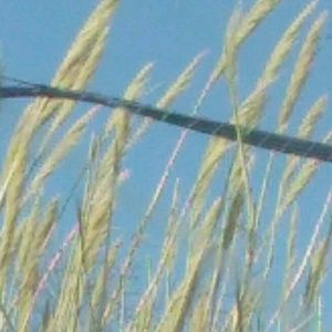 Meet your Posher, Jakayla